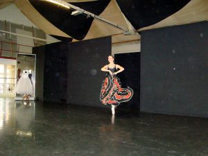 dsc03973